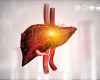 liver_disease_stem_cells.jpg
