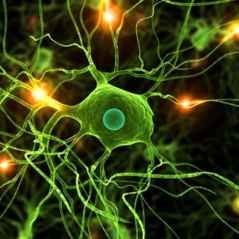 Multiple Sclerosis