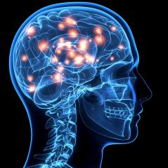Cerebral Palsy