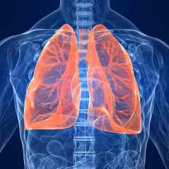 Pulmonary Fibrosis